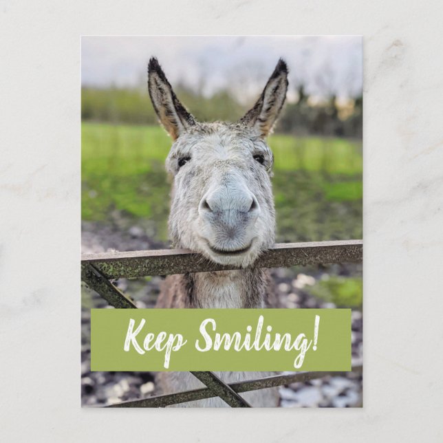 Carte postale "Keep Smiling" pour âne souriant (Devant)