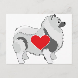 Carte Postale Keeshond