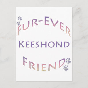 Carte Postale Keeshond Furever