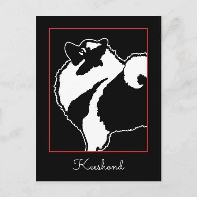 Carte Postale Keeshond Graphics - Cute Original Chig Art (Devant)
