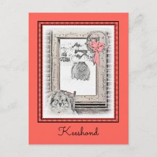Carte Postale Keeshond Noël hiver fenêtre Peinture Chien Art