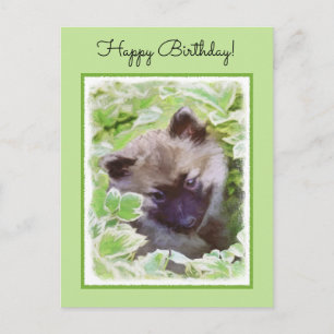 Carte Postale Keeshond Puppy in the Garden Peinture Art original