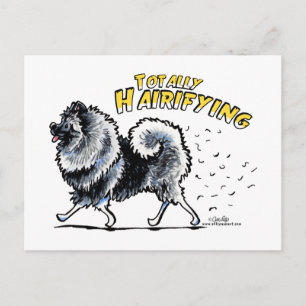 Carte Postale Keeshond Totalement Poilu
