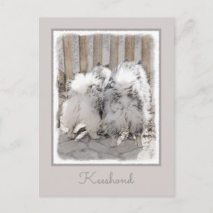 Carte Postale Keeshonds at the Gate Painting - Original Dog Art