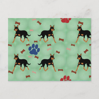 Carte Postale Kelpie australienne