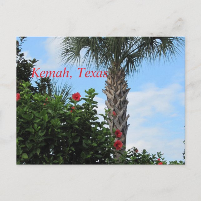 Carte postale Kemah, Texas-Tropical Palm (Devant)