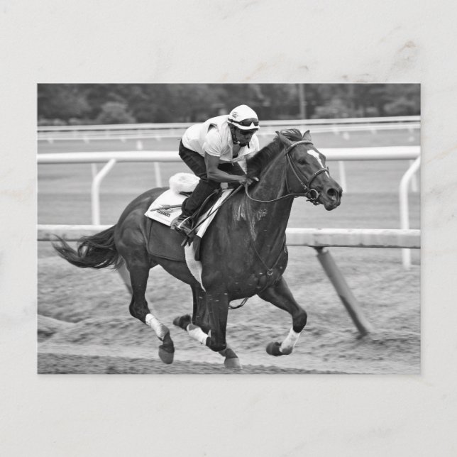 Carte Postale Ken McPeek Workouts à Saratoga (Devant)