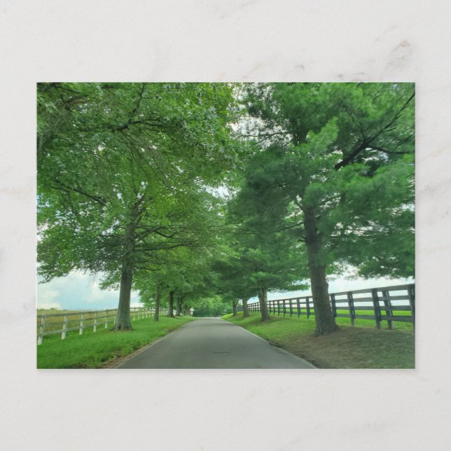 Carte postale Kentucky Bluegrass (Devant)