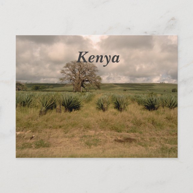 Carte Postale Kenya (Devant)