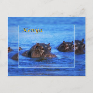 Carte Postale Kenya