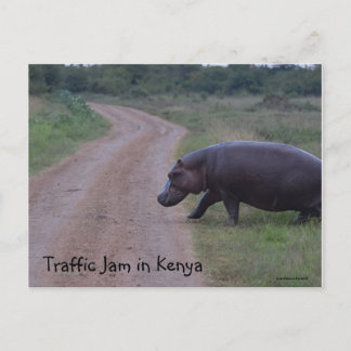Carte Postale Kenya Afrique Embouteillage Hippo