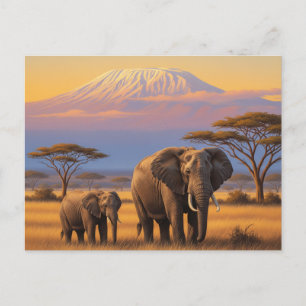 Carte Postale Kenya Amboseli Elephants du Parc National