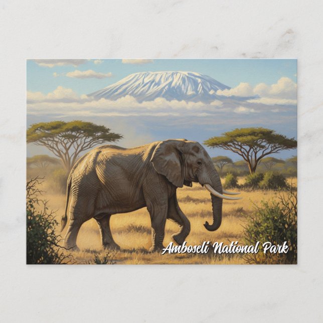 Carte Postale Kenya Amboseli Parc national Elephant (Devant)