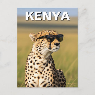 Carte Postale Kenya Masai Mara Cheetah avec lunettes de soleil