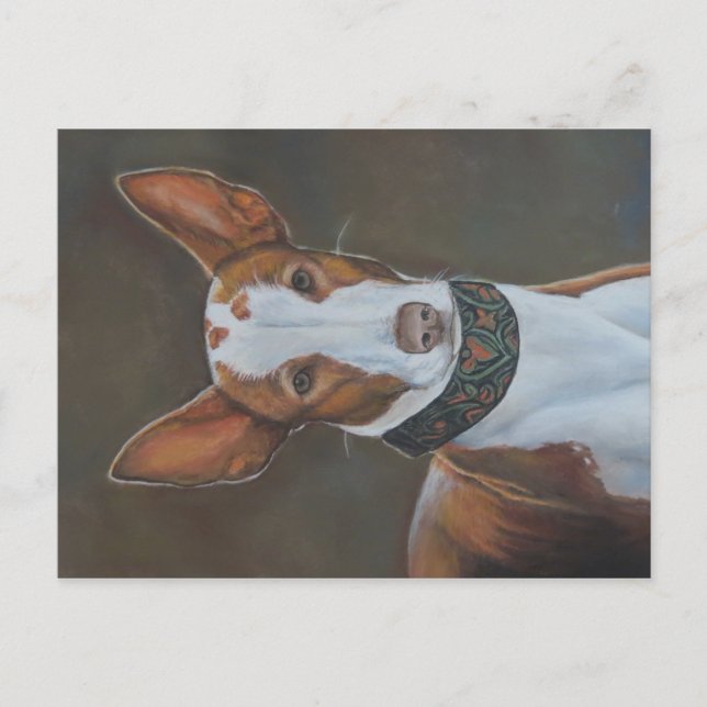 Carte postale Kenzie the Ibizan Hound Dog Art (Devant)