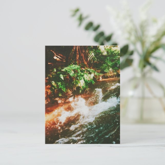 Carte Postale Kerosene Creek, Rotorua, Nouvelle-Zélande (Debout devant)