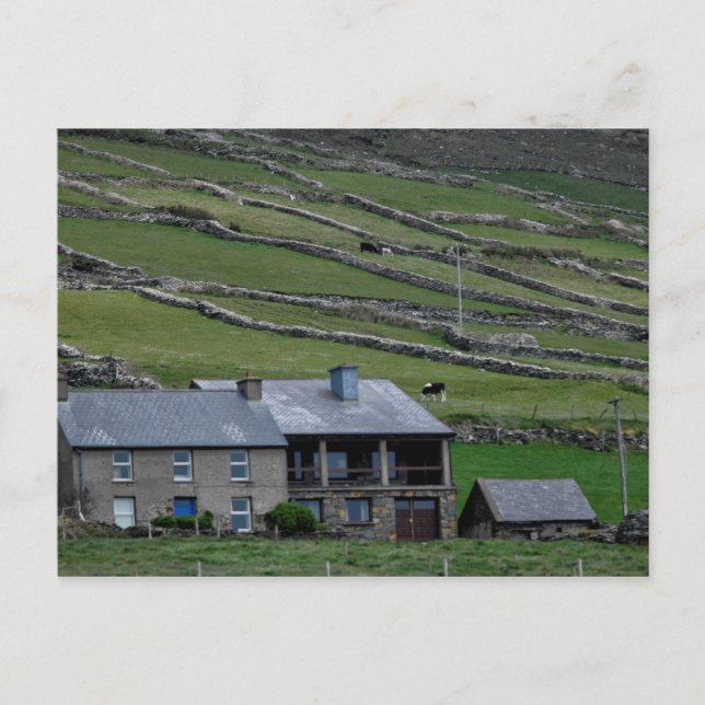 Carte Postale Kerry / Irlande (Devant)