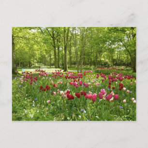 Carte Postale Keukenhof 2