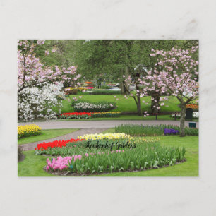 Carte Postale Keukenhof Gardens, Pays-Bas