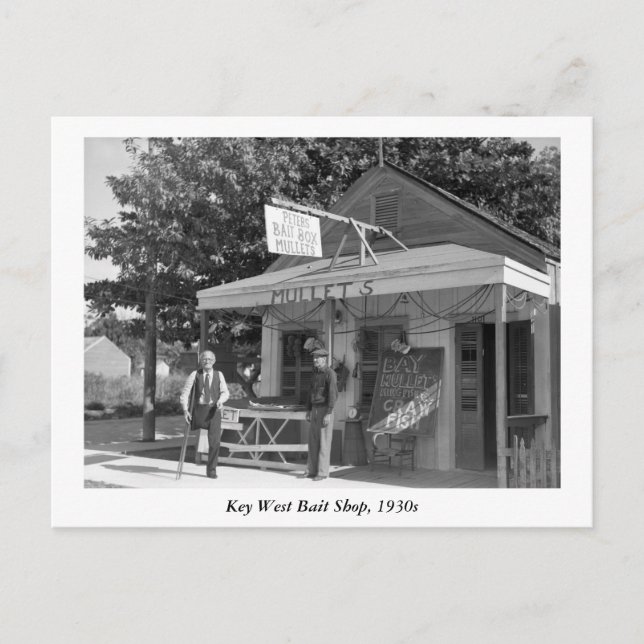 Carte Postale Key West Bait Shop, années 30 (Devant)