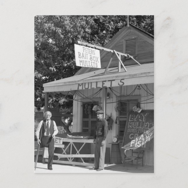 Carte Postale Key West Bait Shop, années 30 (Devant)
