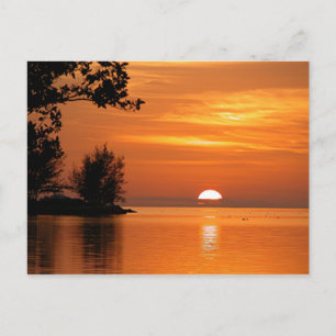 Carte Postale Key West, coucher de soleil de Floride, belle phot