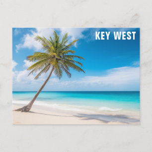 Carte Postale Key West Florida Beach Ocean Palm Tree Travel