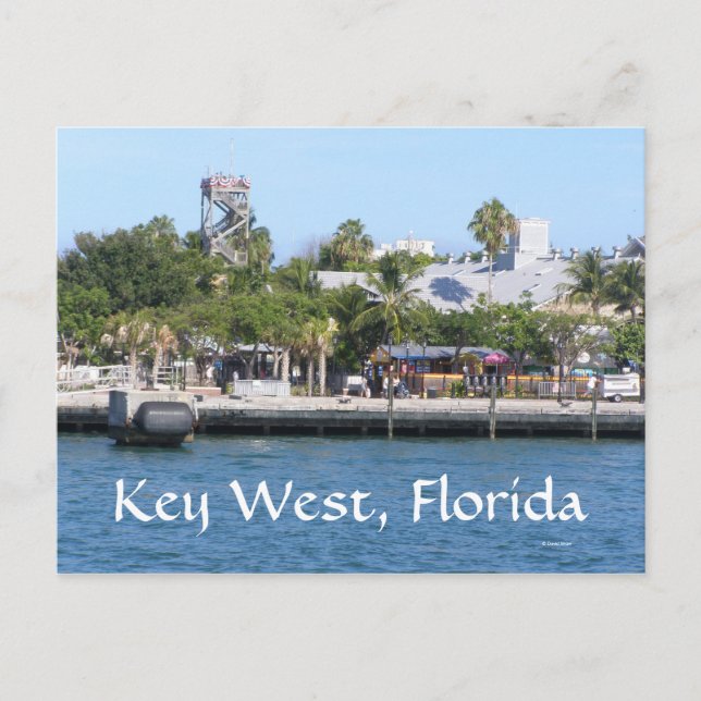 Carte Postale Key West, Floride (Devant)