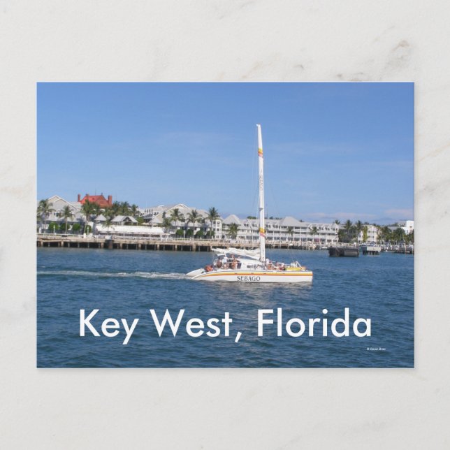 Carte Postale Key West, Floride (Devant)