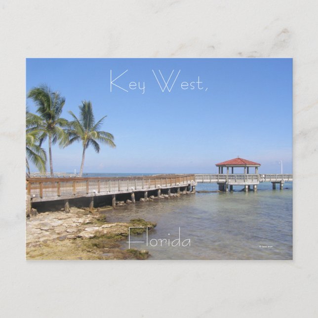 Carte Postale Key West, Floride (Devant)