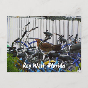 Carte Postale Key West, Floride
