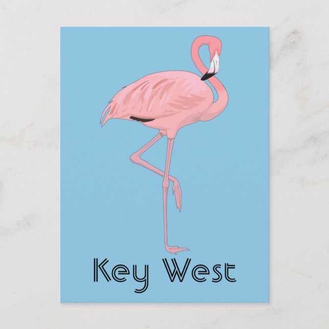 Carte Postale Key West Floride Flamant Rose (Devant)