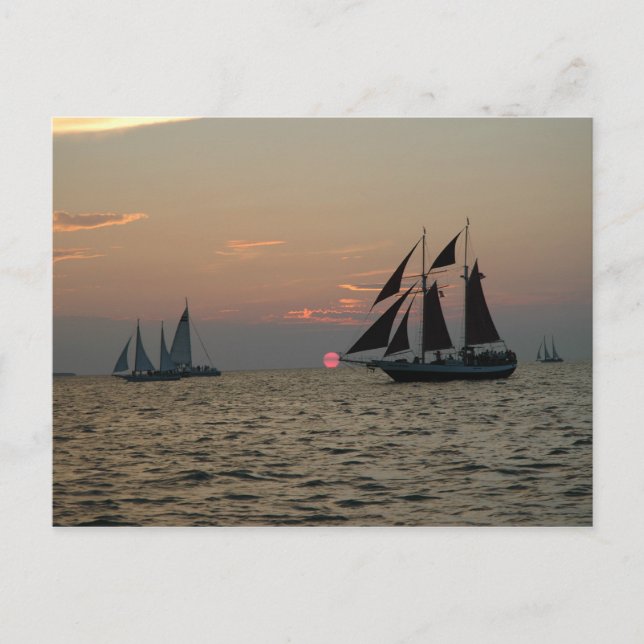 Carte postale Key West Sunset (Devant)