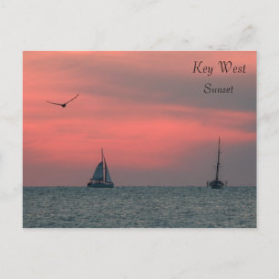 Carte Postale Key West  Sunset Postcard