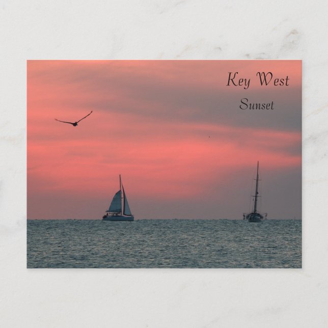Carte Postale Key West  Sunset Postcard (Devant)