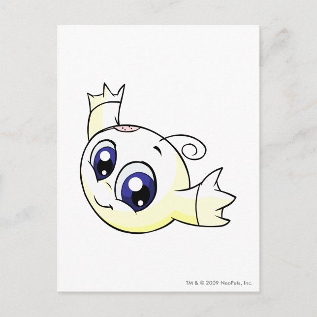 Carte Postale Kiko White (Devant)