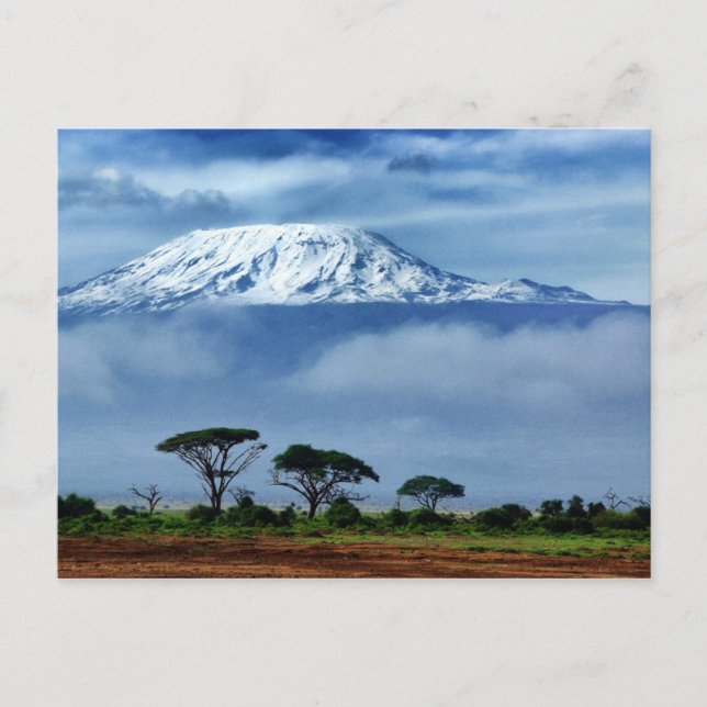 Carte Postale Kilimandjaro Kenya (Devant)