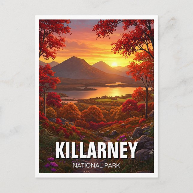 Carte Postale Killarney National Park Irlande Travel (Devant)