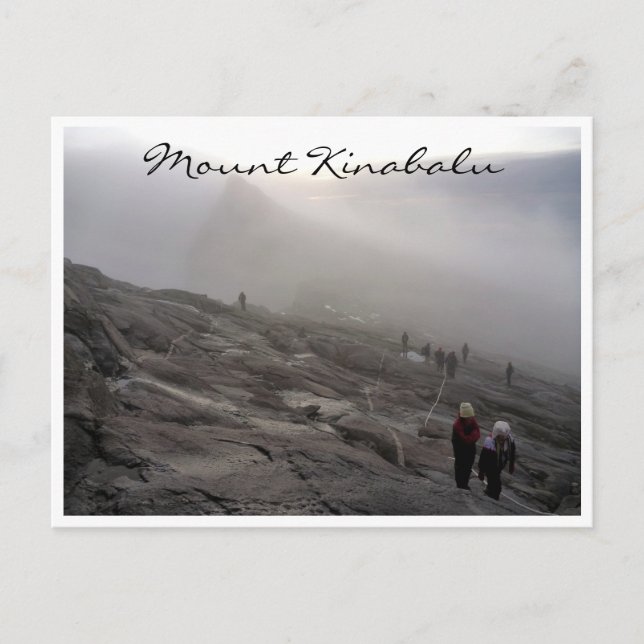 Carte Postale kinabalu acanthe (Devant)