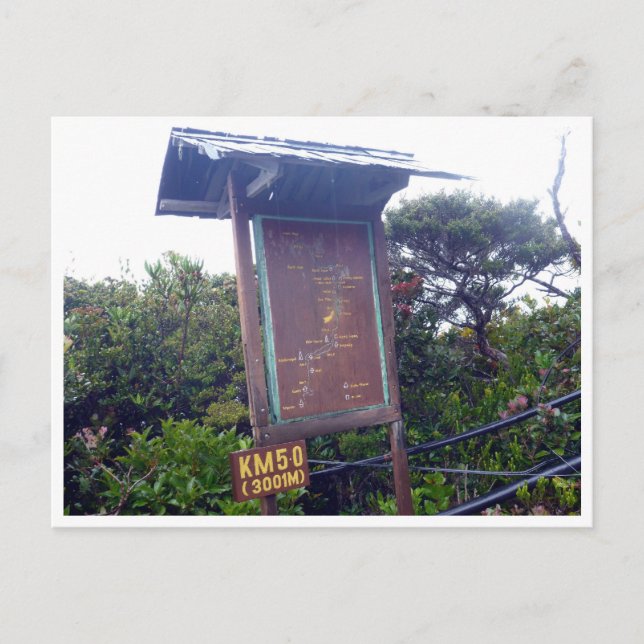 Carte Postale kinabalu km 5,0 (Devant)