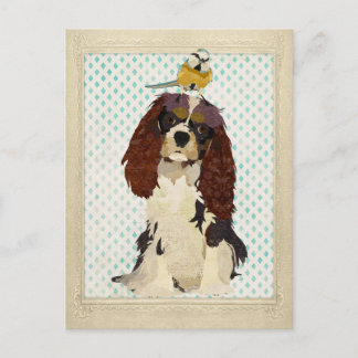 Carte postale King Cavalier et Little Bird