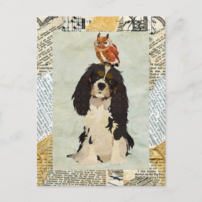 Carte postale King Cavalier & Owl (Devant)
