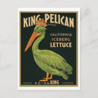 Carte Postale King Pelican Clarksburg California Iceberg Lettuce