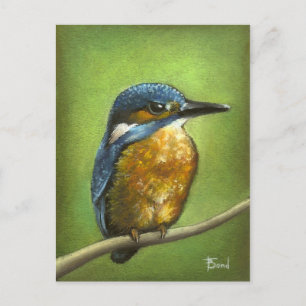 Carte Postale Kingfisher
