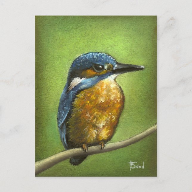 Carte Postale Kingfisher (Devant)