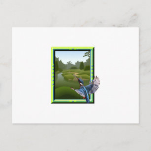 Carte Postale Kingfisher