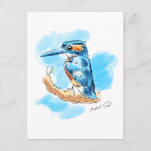 Carte Postale Kingfisher