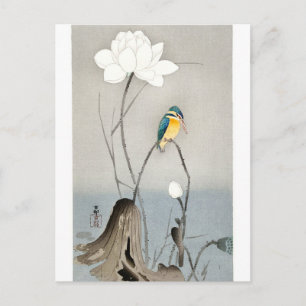 Carte Postale Kingfisher avec Fleur Lotus - Ohara Koson - blanc