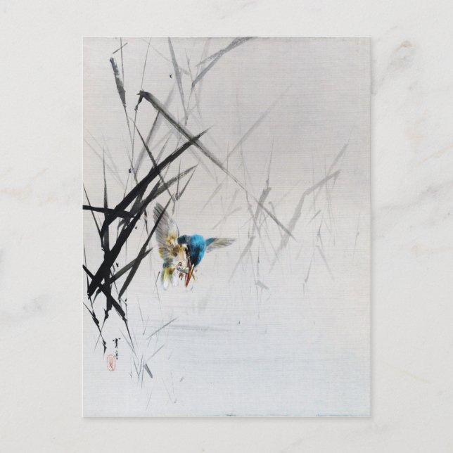 Carte Postale Kingfisher Capturant Le Poisson Parmi Les Rèseaux, (Devant)