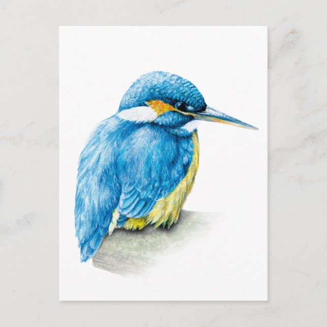 Carte postale Kingfisher fine art (Devant)